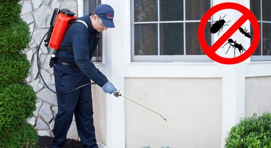 Kale Fare İlaçlama böcek ilaçlama ve haşere kontrolü — ilaclama-tr.com